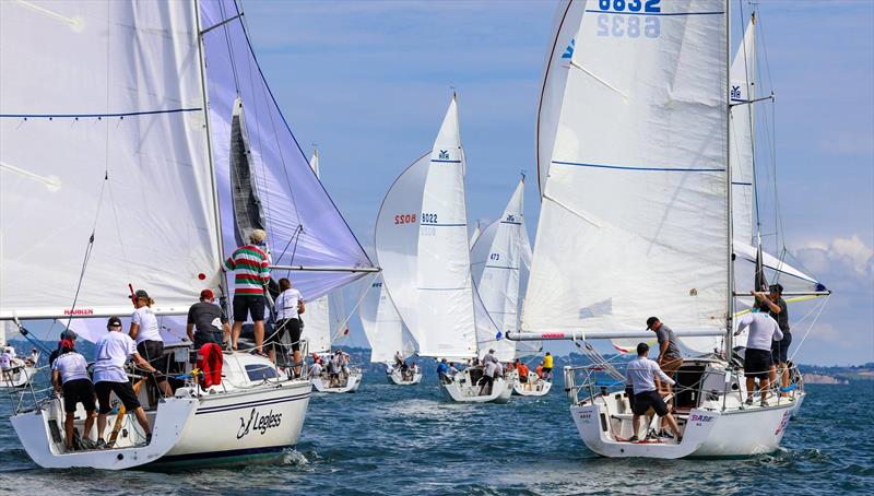 2019 Harken Young 88 National Championships photo copyright Rachel von Zalinski taken at Royal New Zealand Yacht Squadron and featuring the Young 88 class