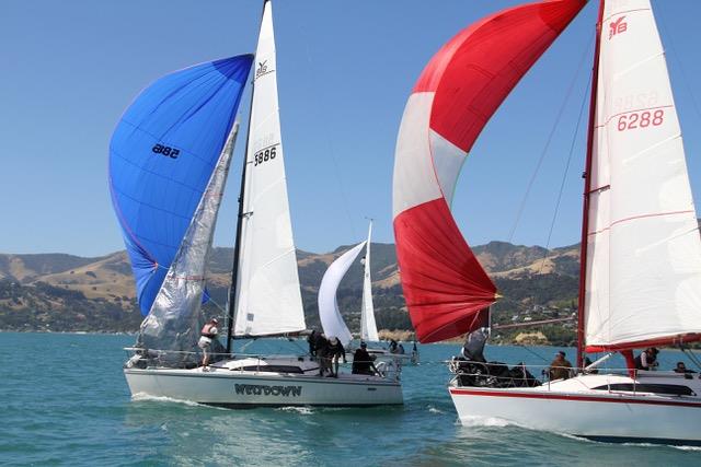 Wetdown leads Legacy 2 downwind - photo © Young 88 Owners' Association