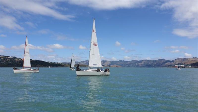 2020 North Sails Young 88 South Island Championships photo copyright Mike Leyland / Young 88 Owners Assocation taken at Naval Point Club Lyttelton and featuring the Young 88 class