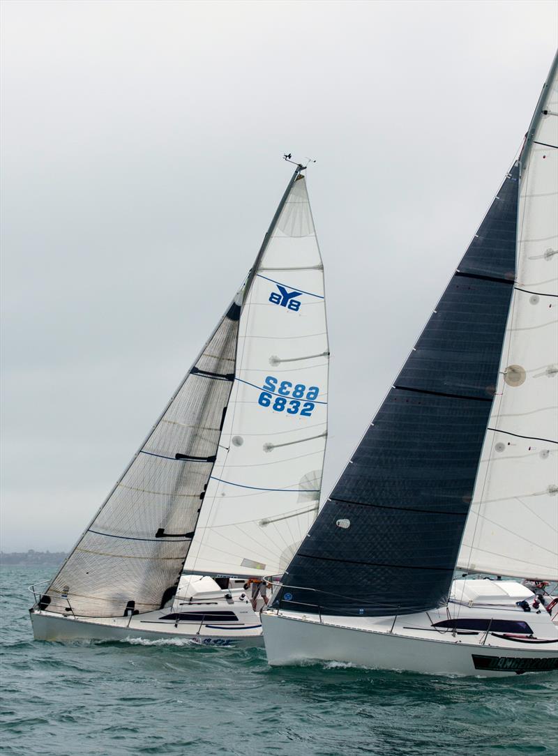 Close hauled sailing can prove difficult in yachts not set up for single handed yachting photo copyright Sam Woolford taken at  and featuring the Young 88 class