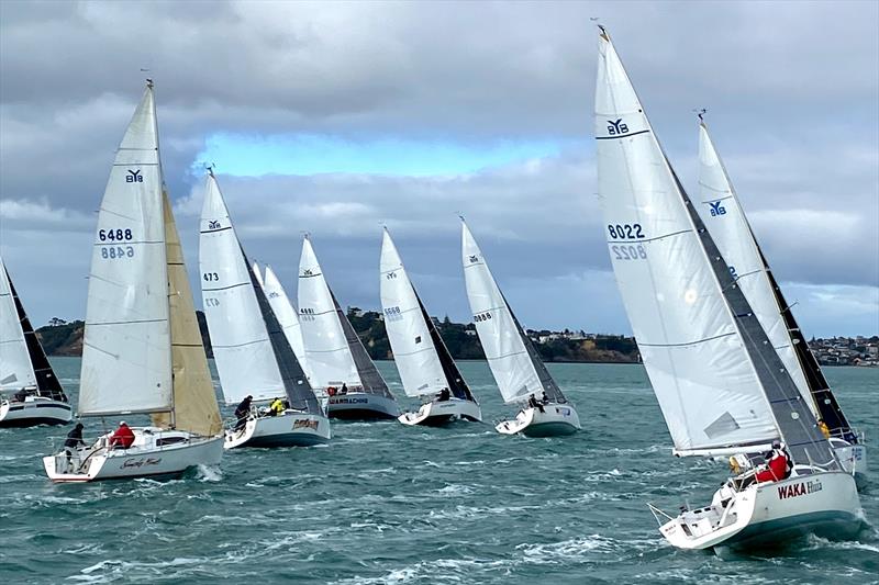 Young 88 two-handed champs - Bucklands Beach Yacht Club - Auckland - May 2020 - photo © Young 88 Owners Association