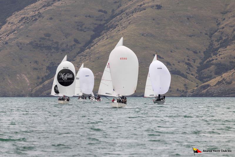 North Sails Southern Young 88 Nationals - Akaroa Harbour, New Zealand photo copyright Alister Winter taken at  and featuring the Young 88 class