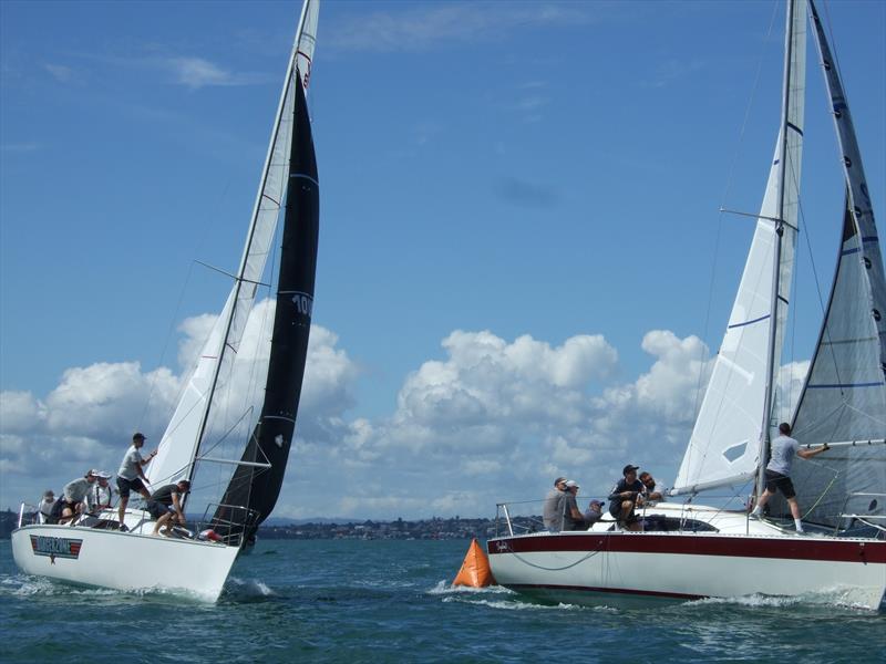 Young 88 Auckland Championships - March 2023 - photo © Ross Hebner 