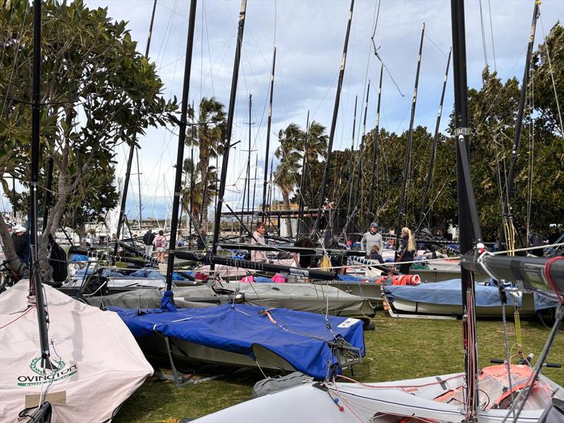 29er fleet at Real Club Náutico de Valencia - photo © RCNV