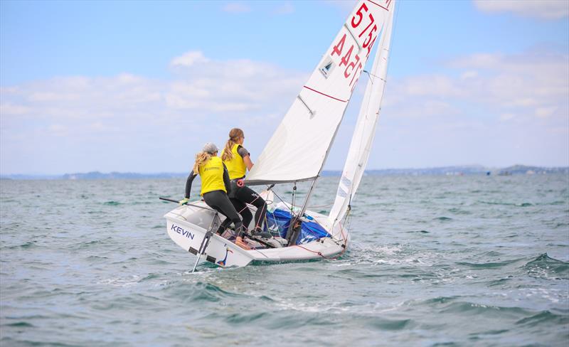 420 - OceanBridge Sail Auckland - Torbay - February 1, 2026 - photo © Jacob Fewtrell/Insight Media