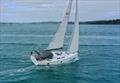 Hanse 448 - July 2026