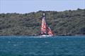 Emirates Team New Zealand - Solo testing - AC40 - Auckland - January 29, 2026