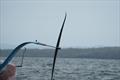 Emirates Team New Zealand - Sailing Day 16 - AC38 Recon - June 16, 2026 - Auckland, NZ