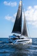 Leopard 43