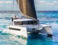 Leopard 43