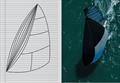 Structured Luff sails started as a rough design concept and two year later won the Maxi 72 Europeans