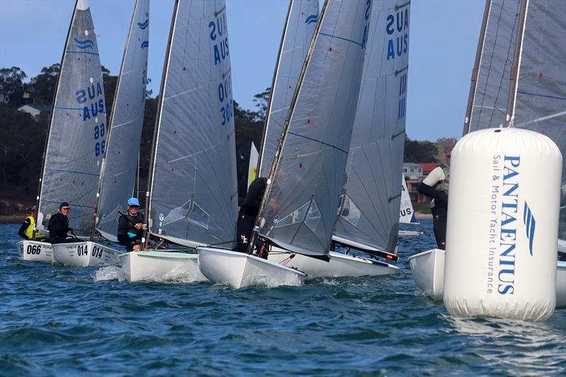 Finn class on day 2 of the 2026 Sail Port Stephens Super Series - photo © Promocean Media