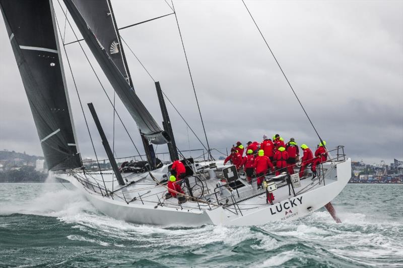 Lucky approaches the finish line in Auckland - Finish Sydney Auckland Race - October 14, 2025 - photo © Tamsin Rountree