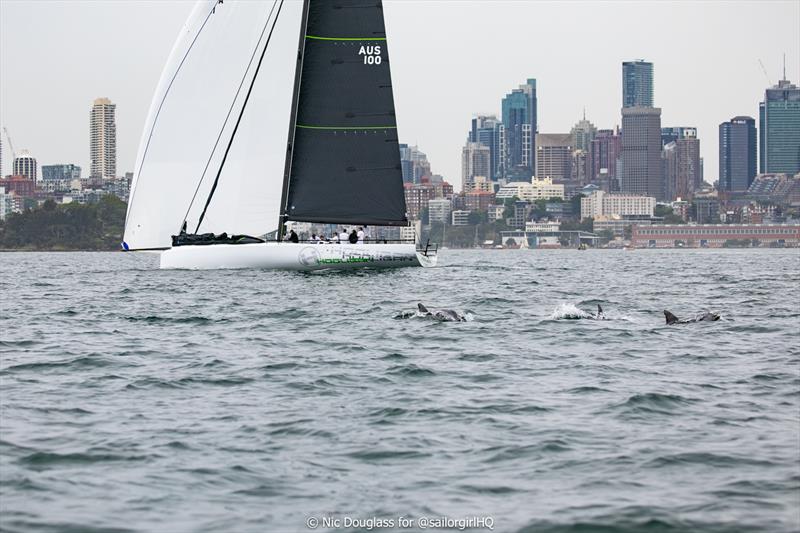 LGT Wealth Management Australia Cup - Hooligan family and friends - photo © Nic Douglass for @sailorgirlHQ