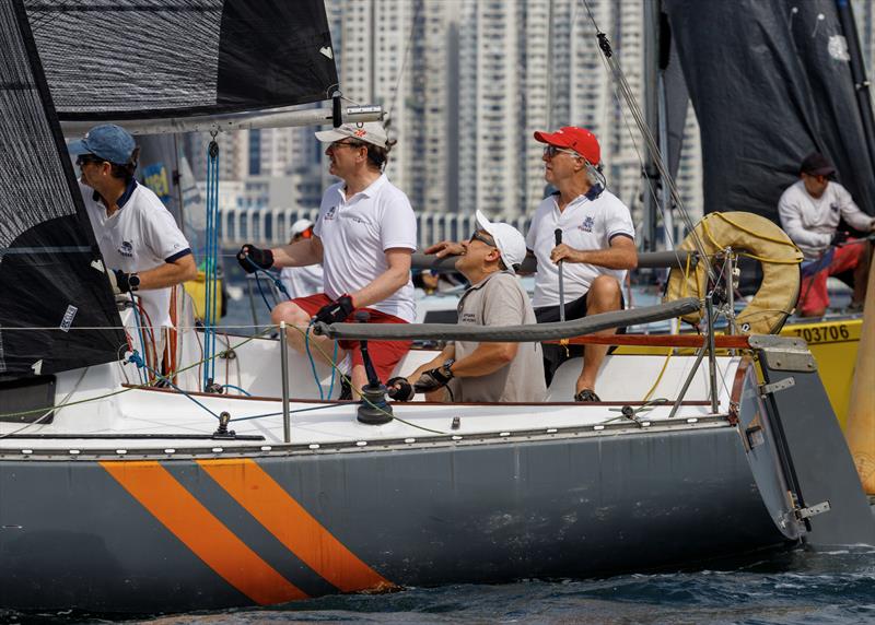 Buster. RHKYC Tomes Cup 2026 - photo © RHKYC/ Guy Nowell