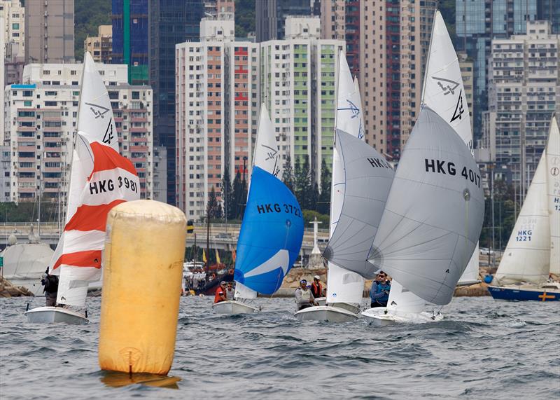A fflock of Ffifteens. RHKYC Tomes Cup 2026 - photo © RHKYC/ Guy Nowell