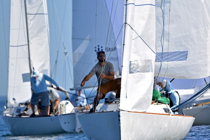 J/22 North American Championship 2025 - photo © J/22 International Class Association