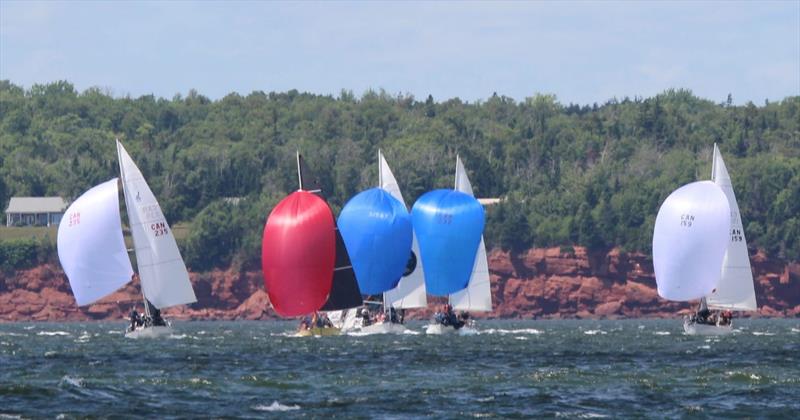 J/29 racing at Charlottetown Yacht Club - photo © Helen Blake / Charlottetown Yacht Club