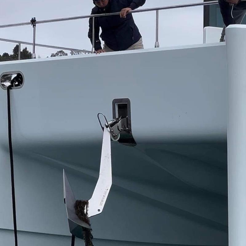 Exotic Caulerpa can spread on our anchors and chains - photo © Louise Clarke