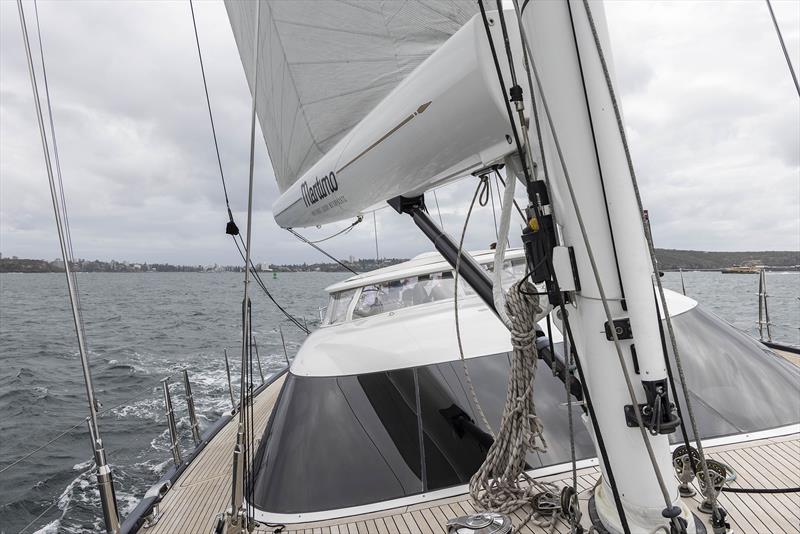 Maritimo 100 - photo © Andrea Francolini