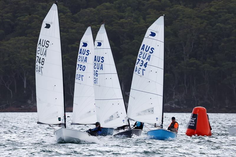 OK fleet on day 2 of the 2026 Sail Port Stephens Super Series - photo © Promocean Media