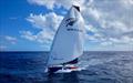 MSIG Europe - Conrad Colman - The Ocean Race Atlantic - April 2026