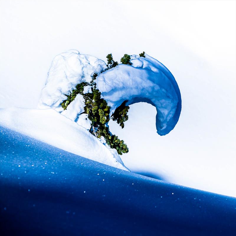 Snowboarders Journal cover - Sean Sullivan - photo © Sean Sullivan