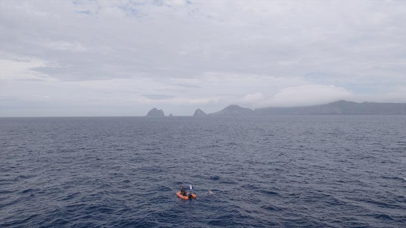Jono Ridler - Swim4TheOcean - January 14, 2026 - photo © Joshua McCormack