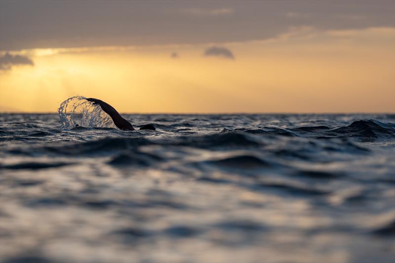  Jono Ridler - Swim4TheOcean - January 25, 2026 - photo © Joshua McCormack
