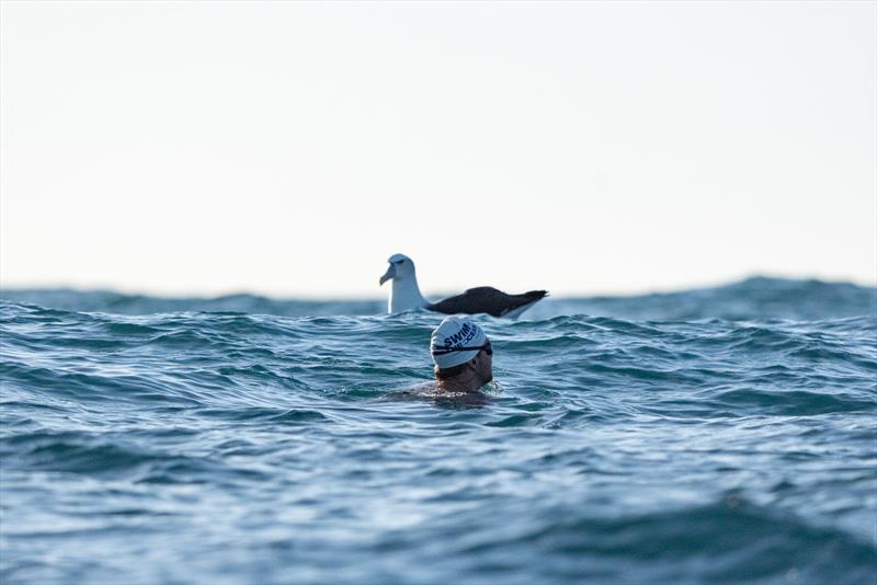  Jono Ridler - The final push - Swim4TheOcean - March 16, 2026 - photo © Joshua McCormack