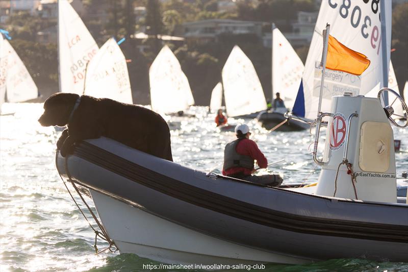 East Coast Championships 2026 at Woollahra Sailing Club - photo © www.mainsheet.in