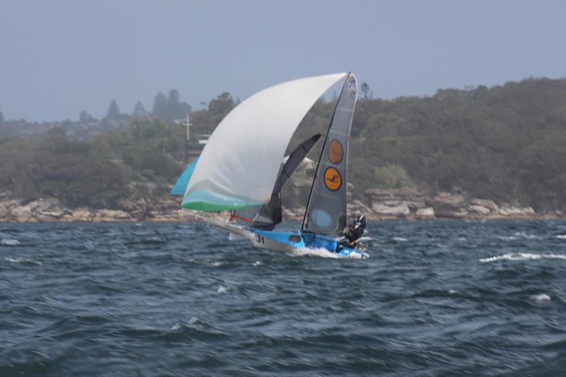 The Bird flying - 12ft Skiff Interdominion - photo © Vita Williams